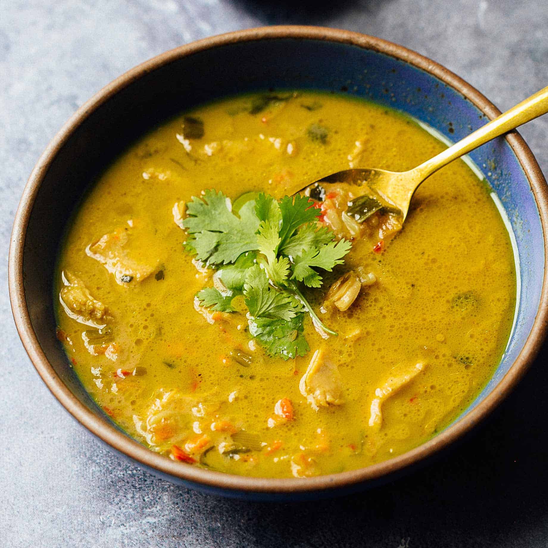 Coconut Curry Soup - Soup of Success